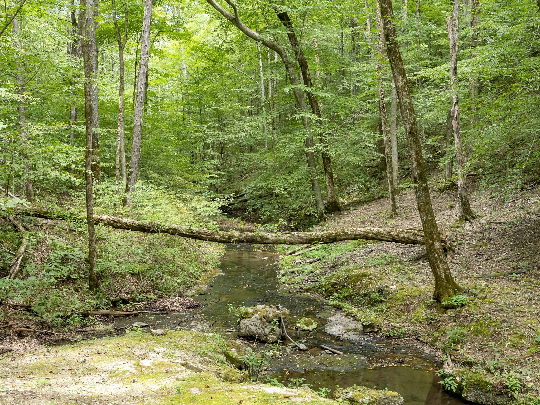 6011 Garrison Springs Rd