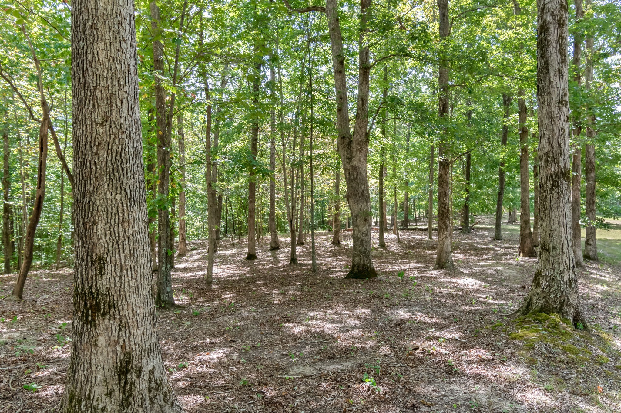 6021 Garrison Springs Rd