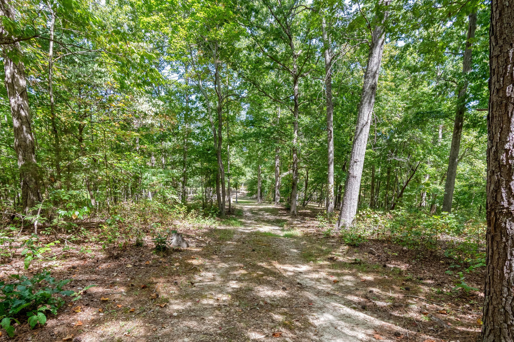6021 Garrison Springs Rd