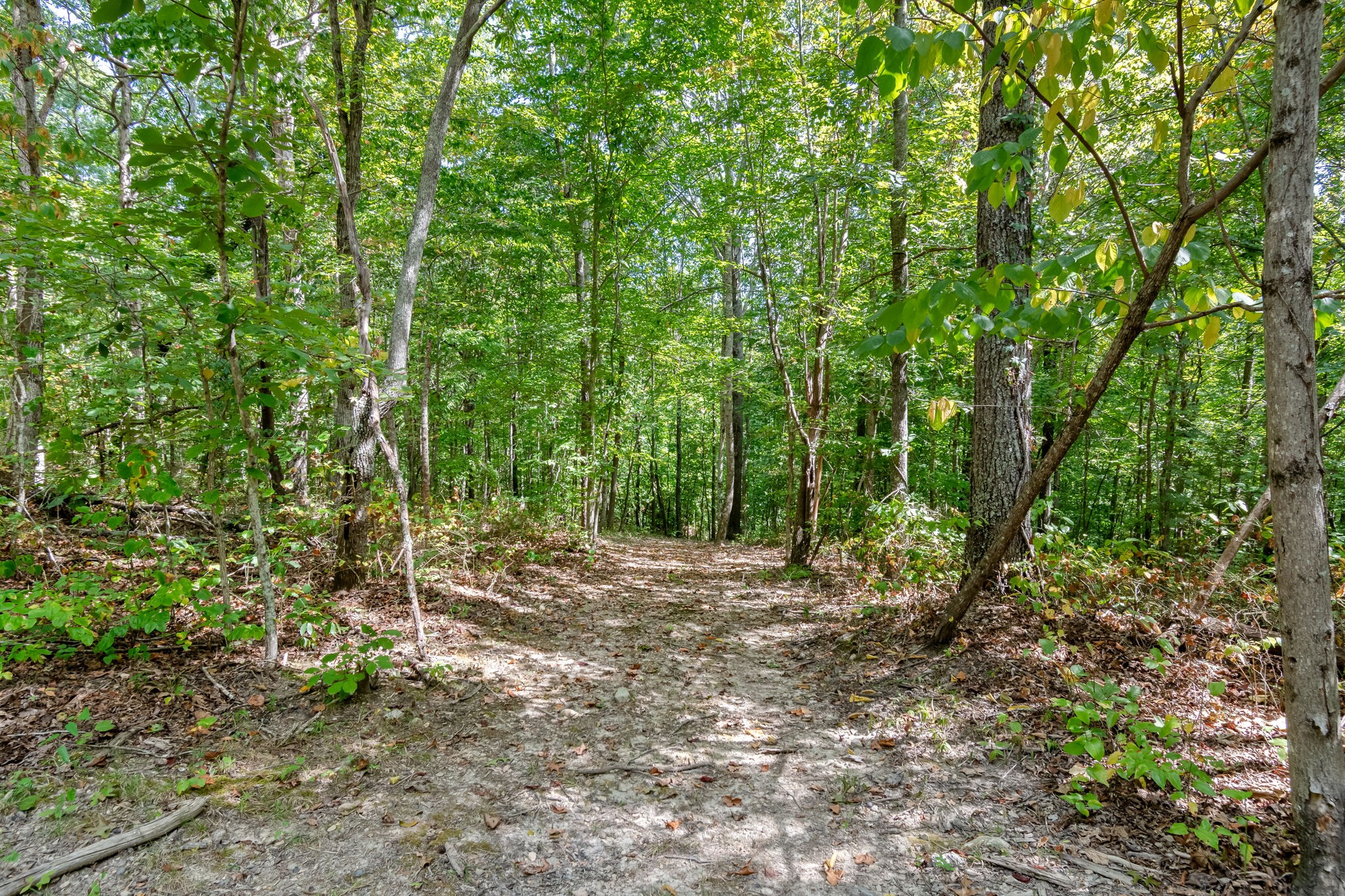 6021 Garrison Springs Rd