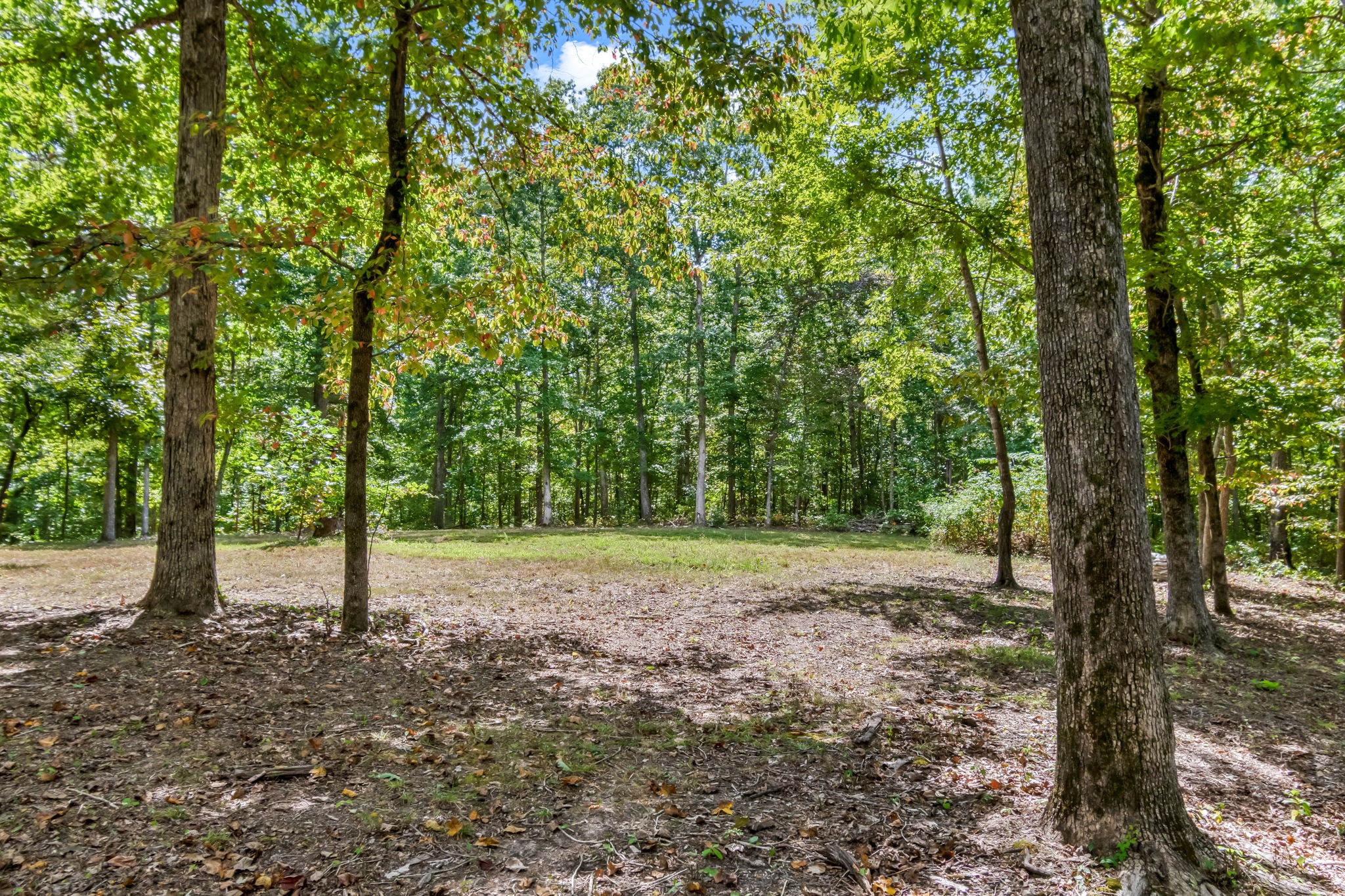 6021 Garrison Springs Rd