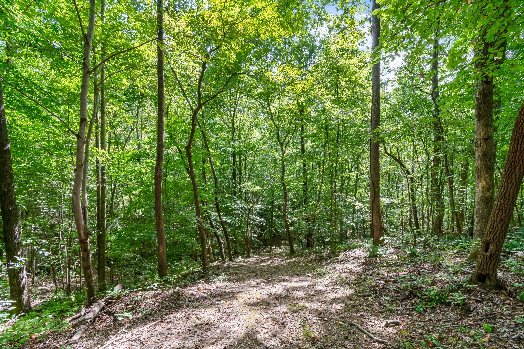 6021 Garrison Springs Rd