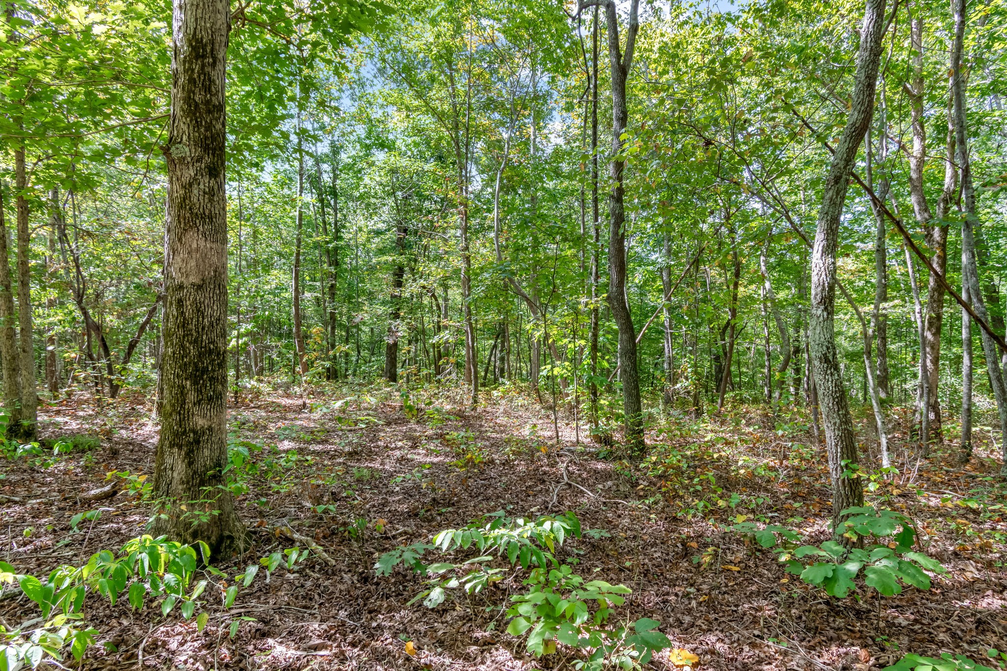 6021 Garrison Springs Rd