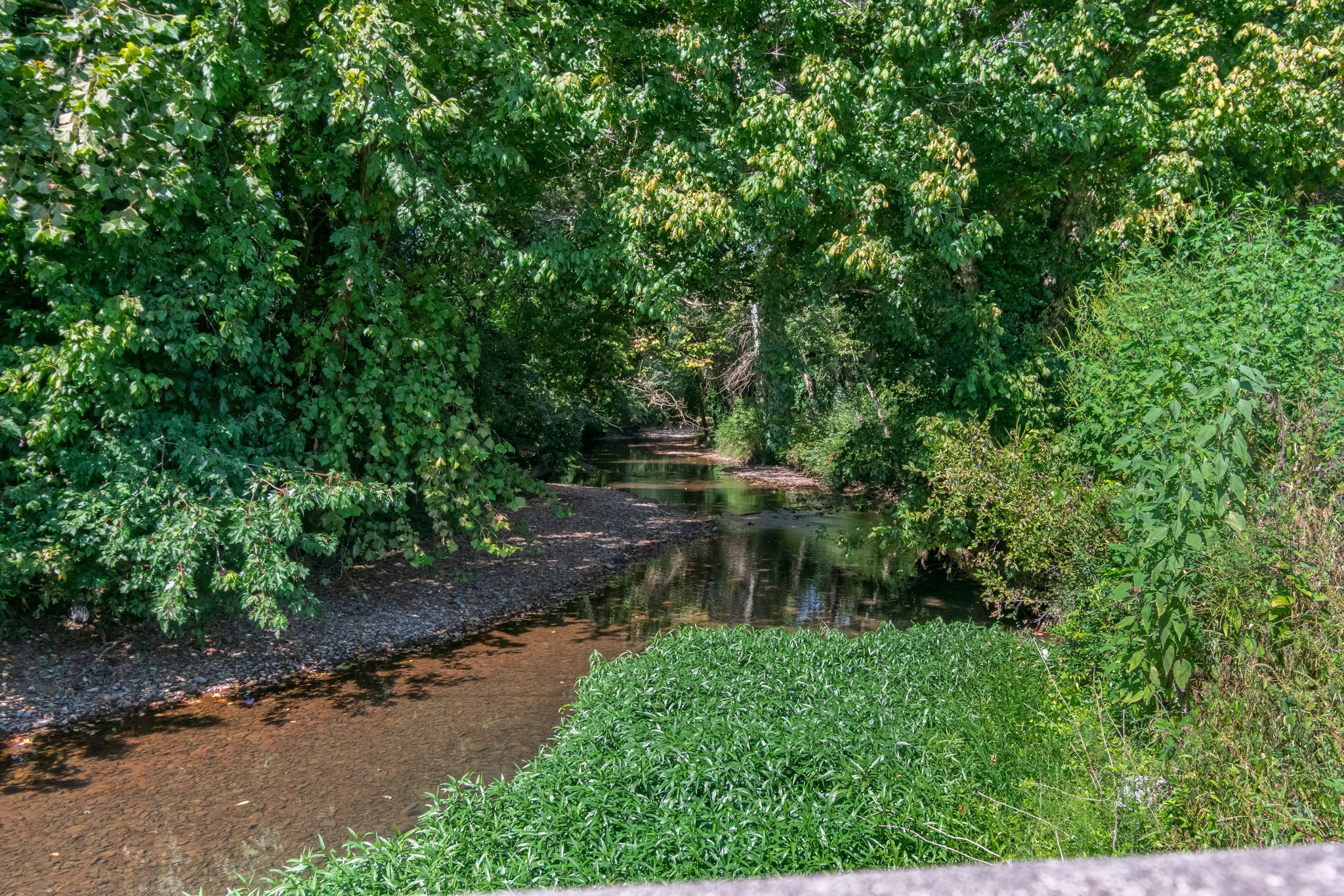 6021 Garrison Springs Rd