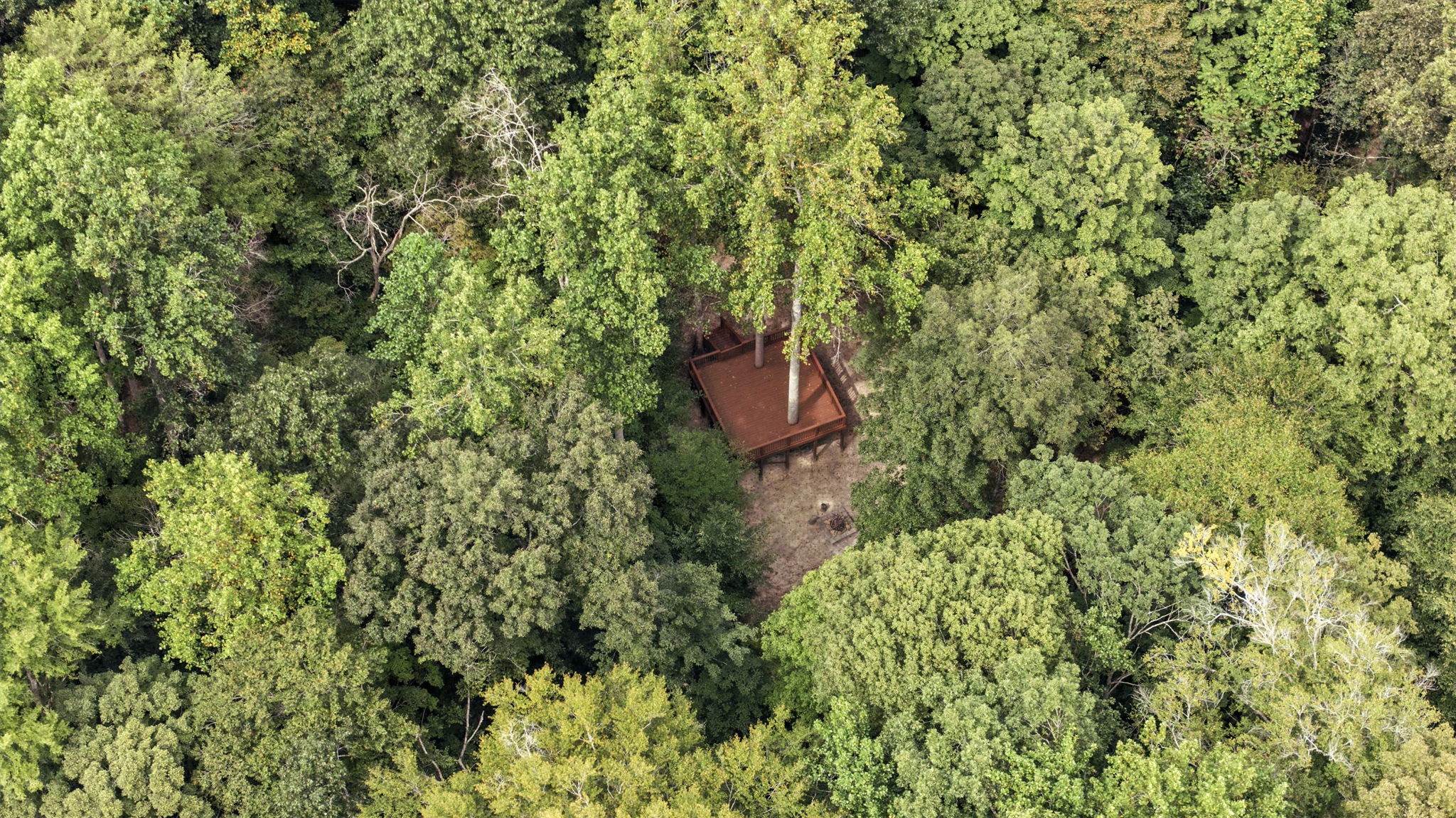 6021 Garrison Springs Rd
