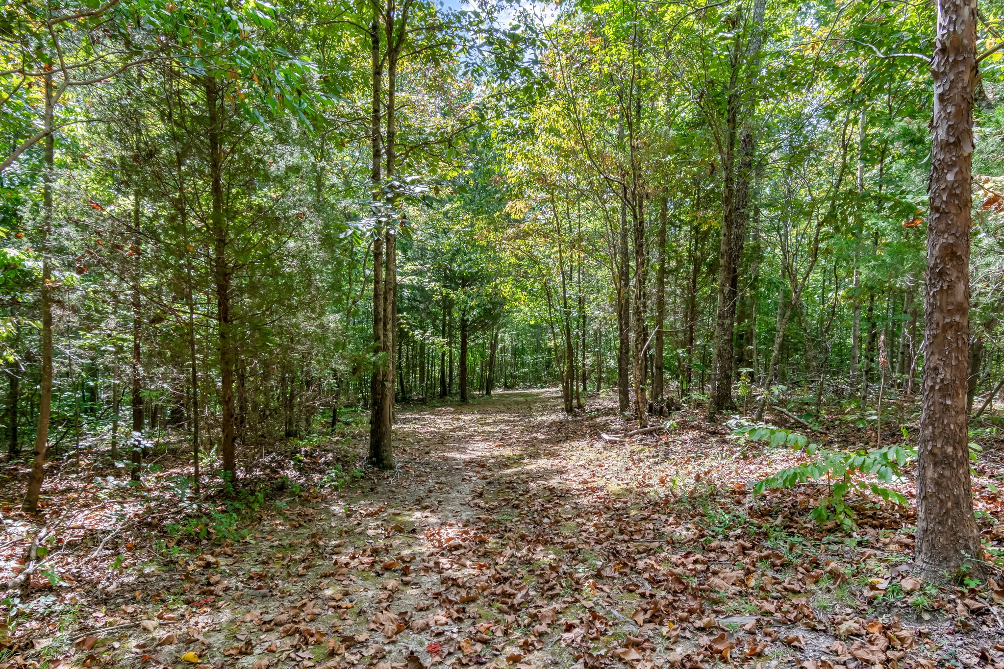 6021 Garrison Springs Rd