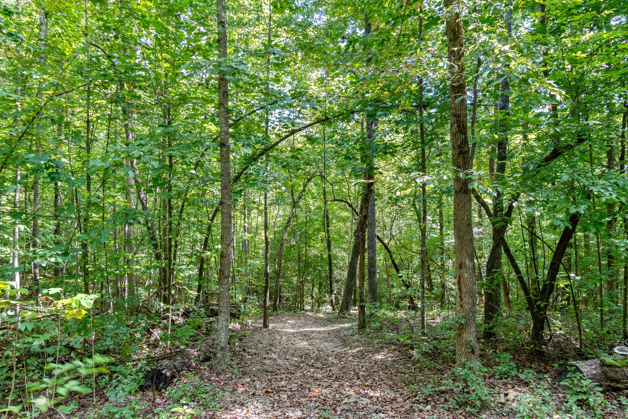 6021 Garrison Springs Rd