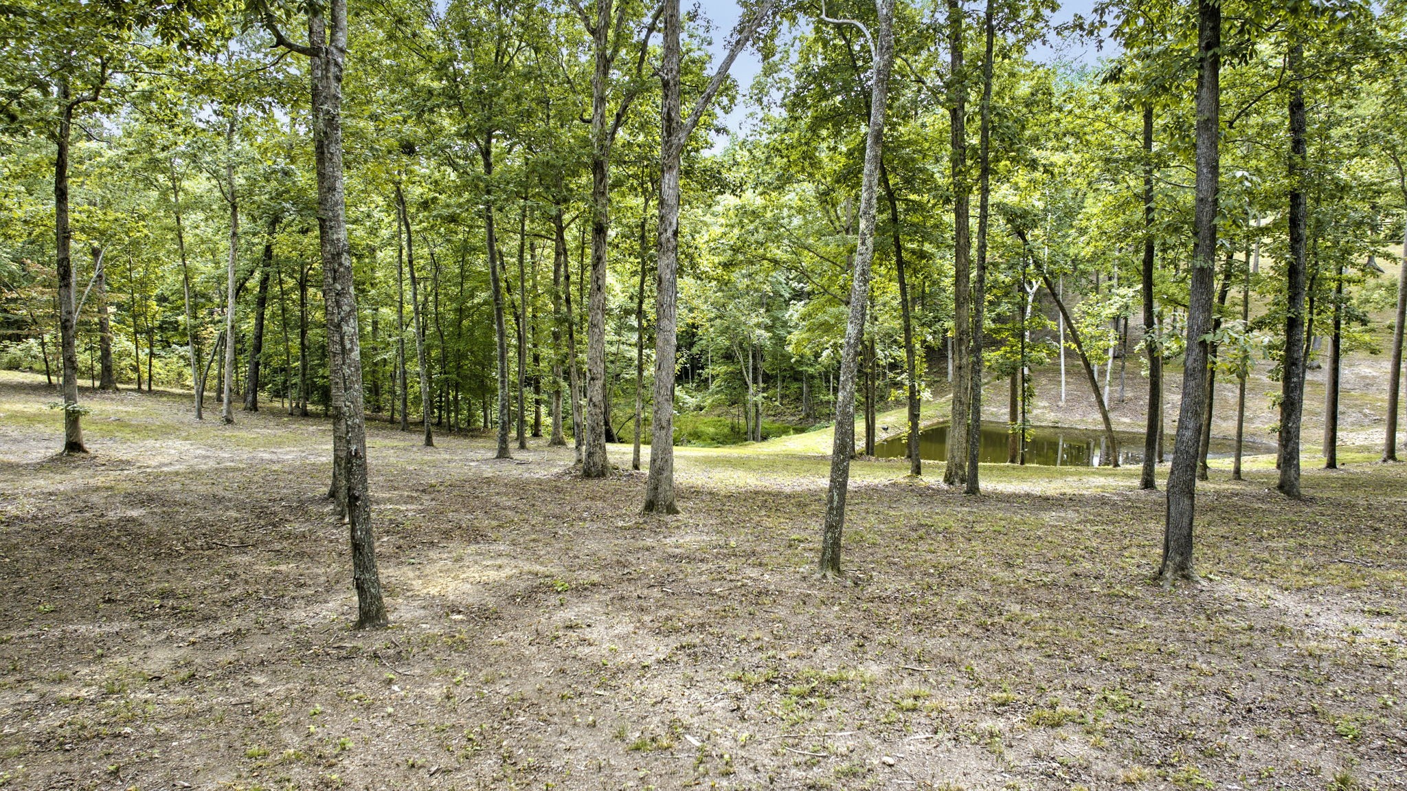 6021 Garrison Springs Rd