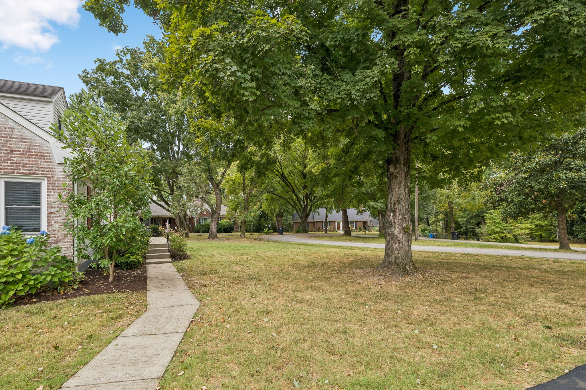 Tree-shaded residential lawn with a curved walkway and part of a brick house at left.