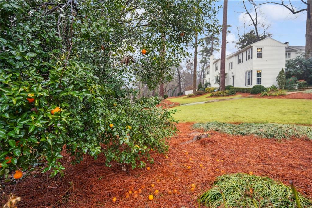 1992 Walthall Drive NW