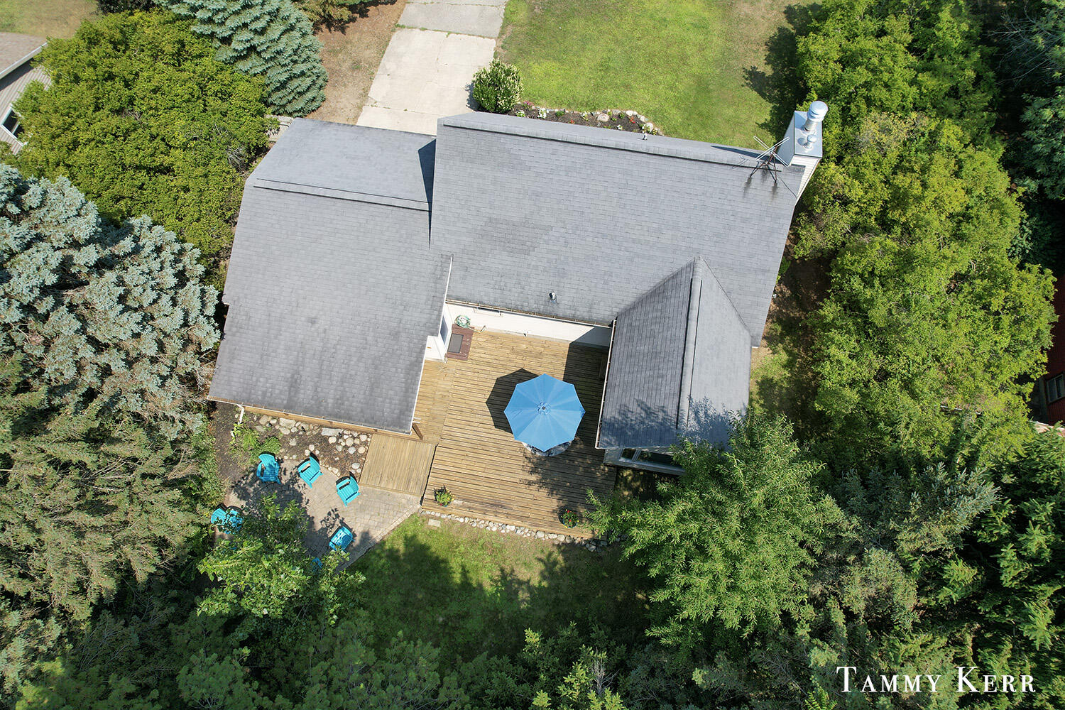98 Algonquin Avenue