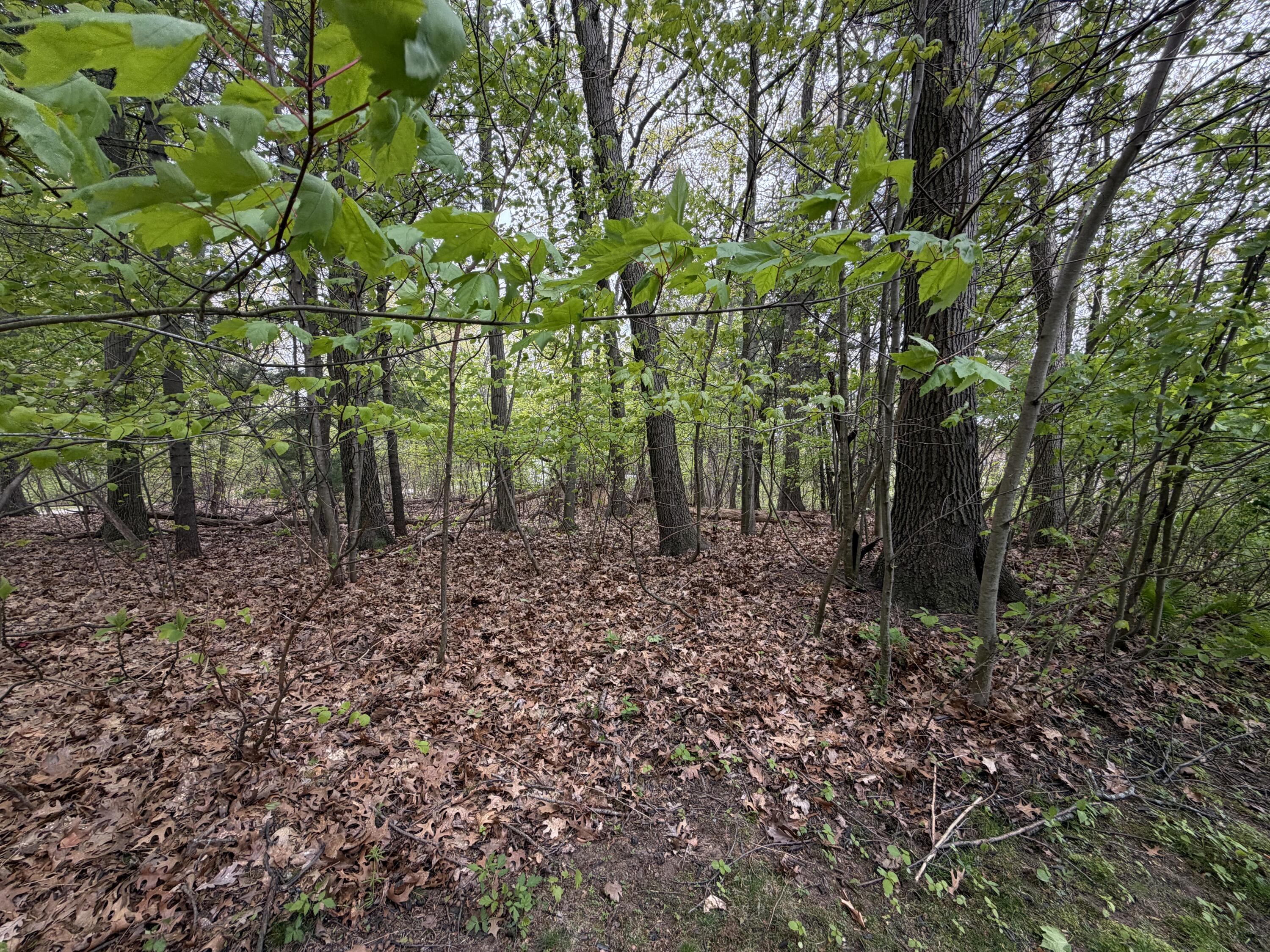 3114 Red Oak Drive Lot 9