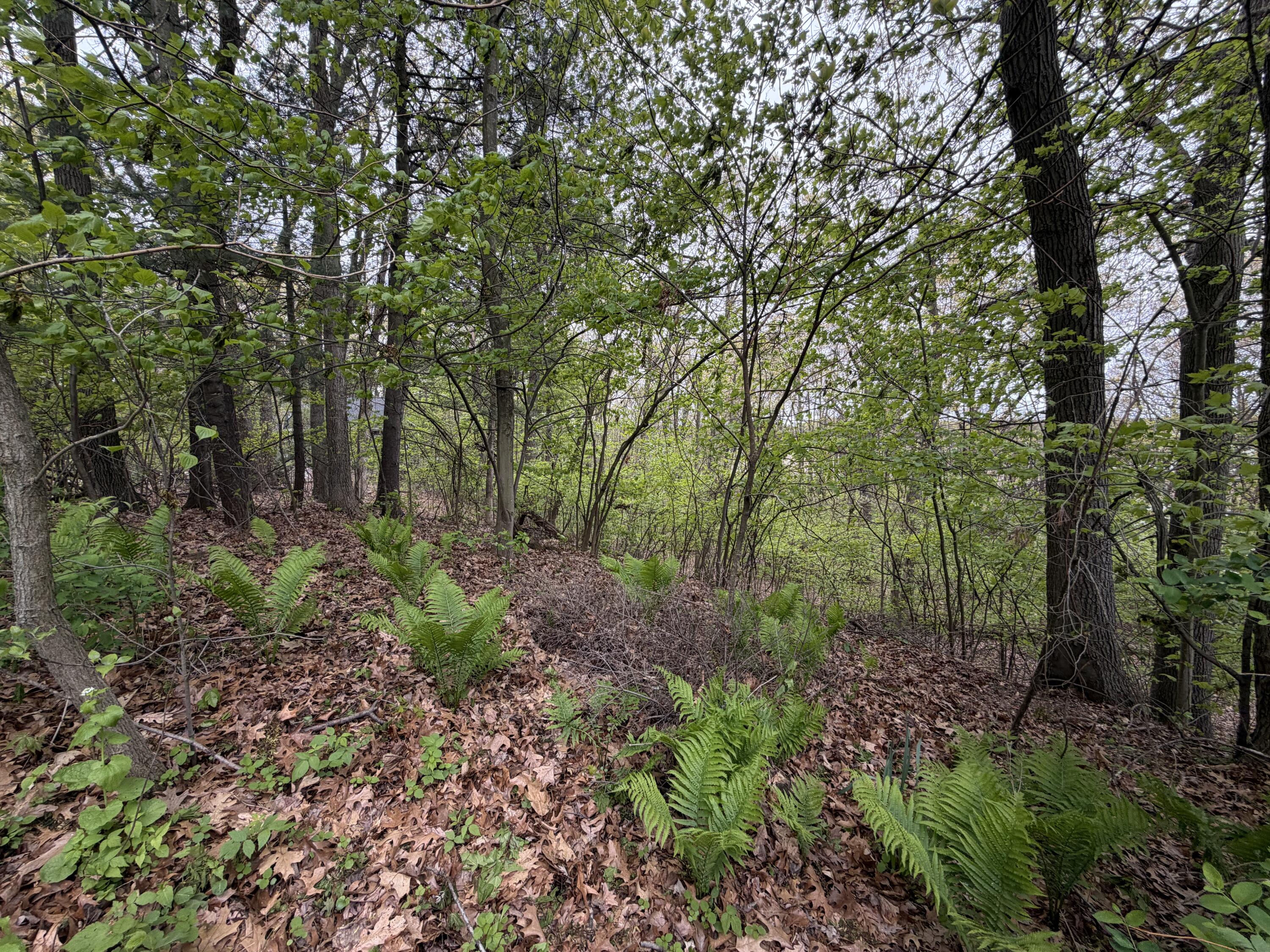 3114 Red Oak Drive Lot 9