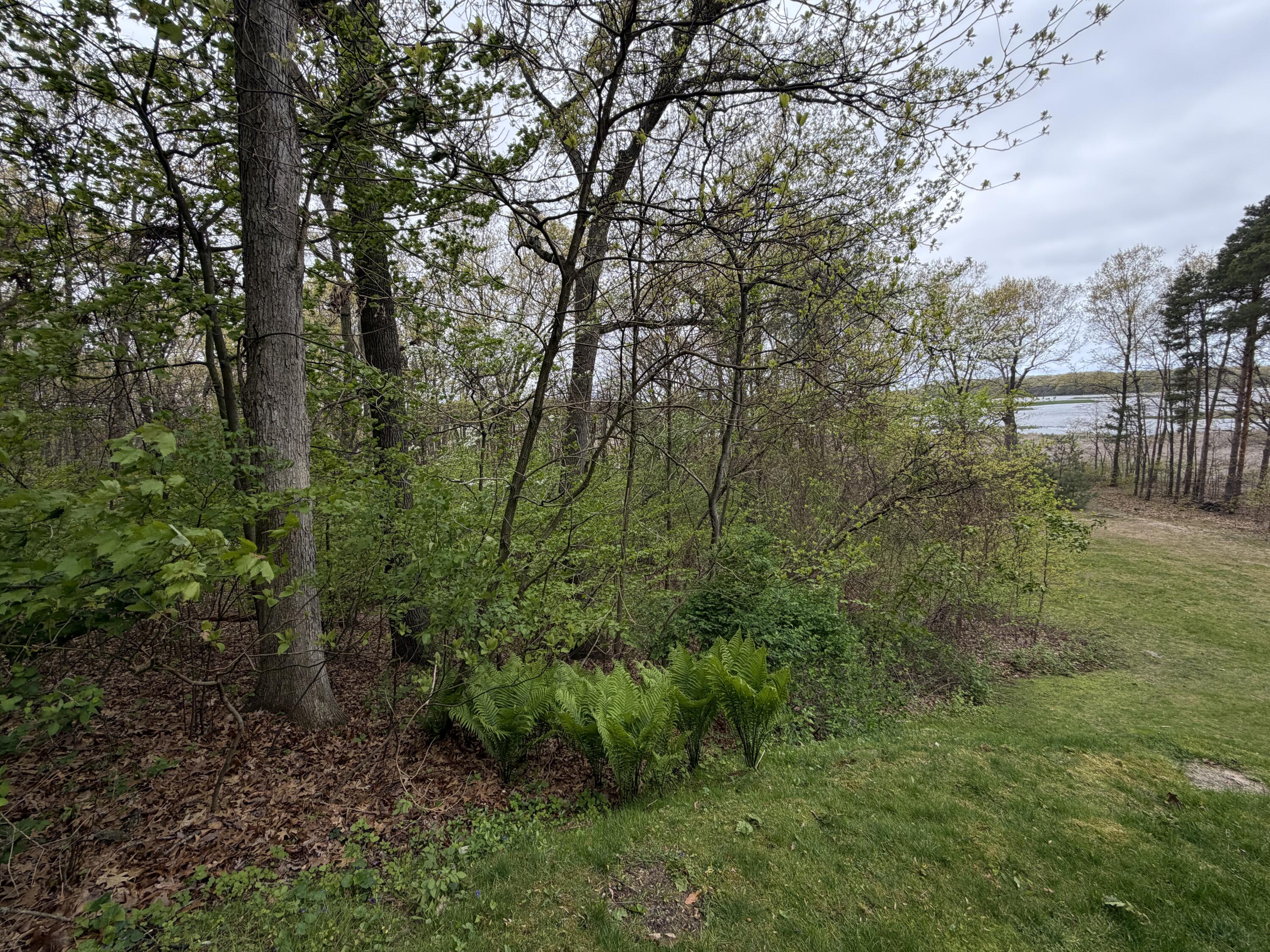 3114 Red Oak Drive Lot 9