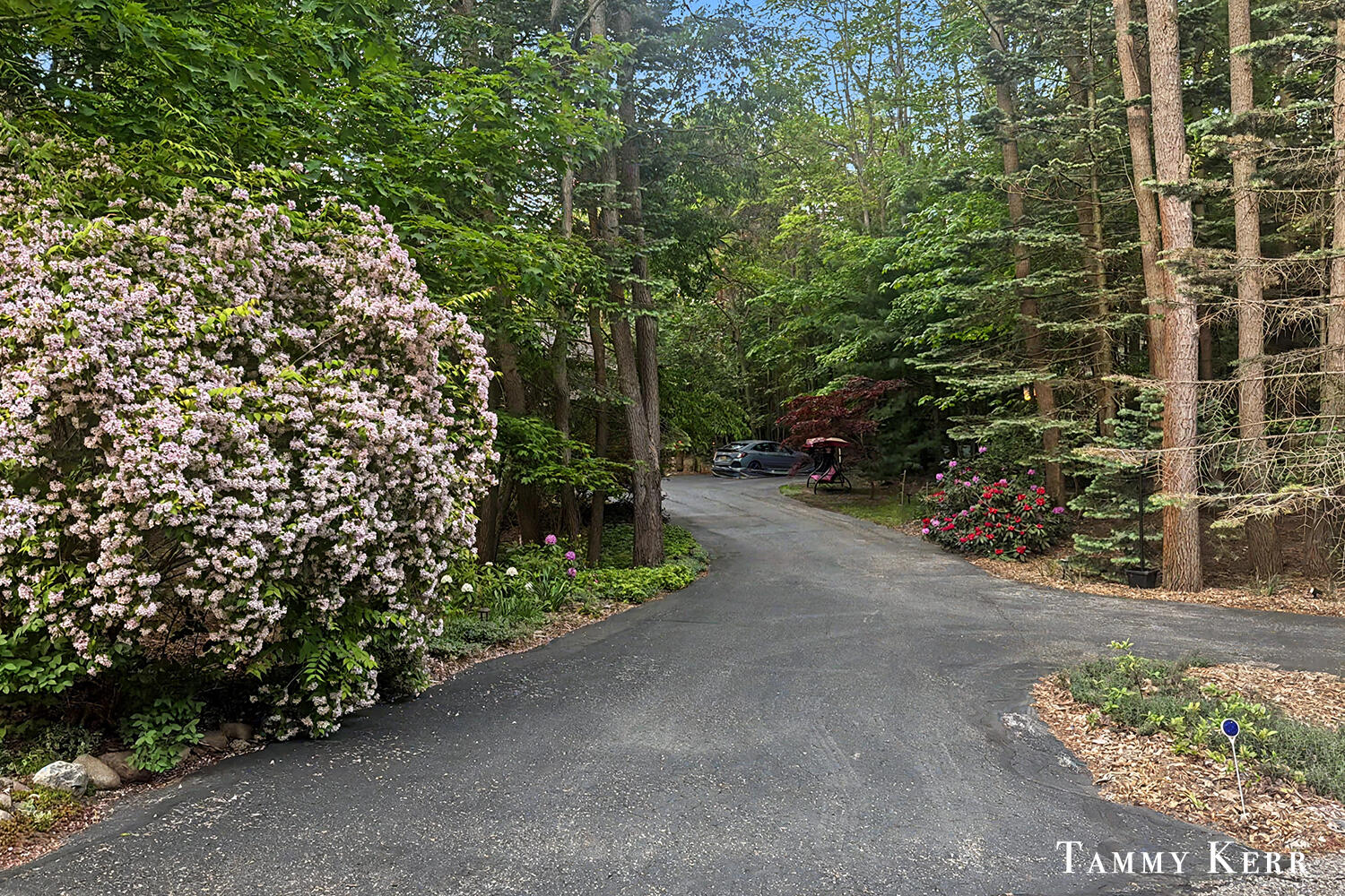 2339 Forest Trail Circle