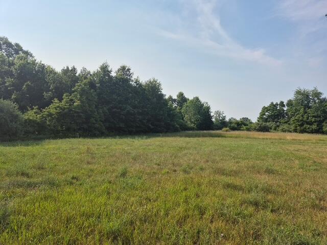13761 "A" New Holland Street