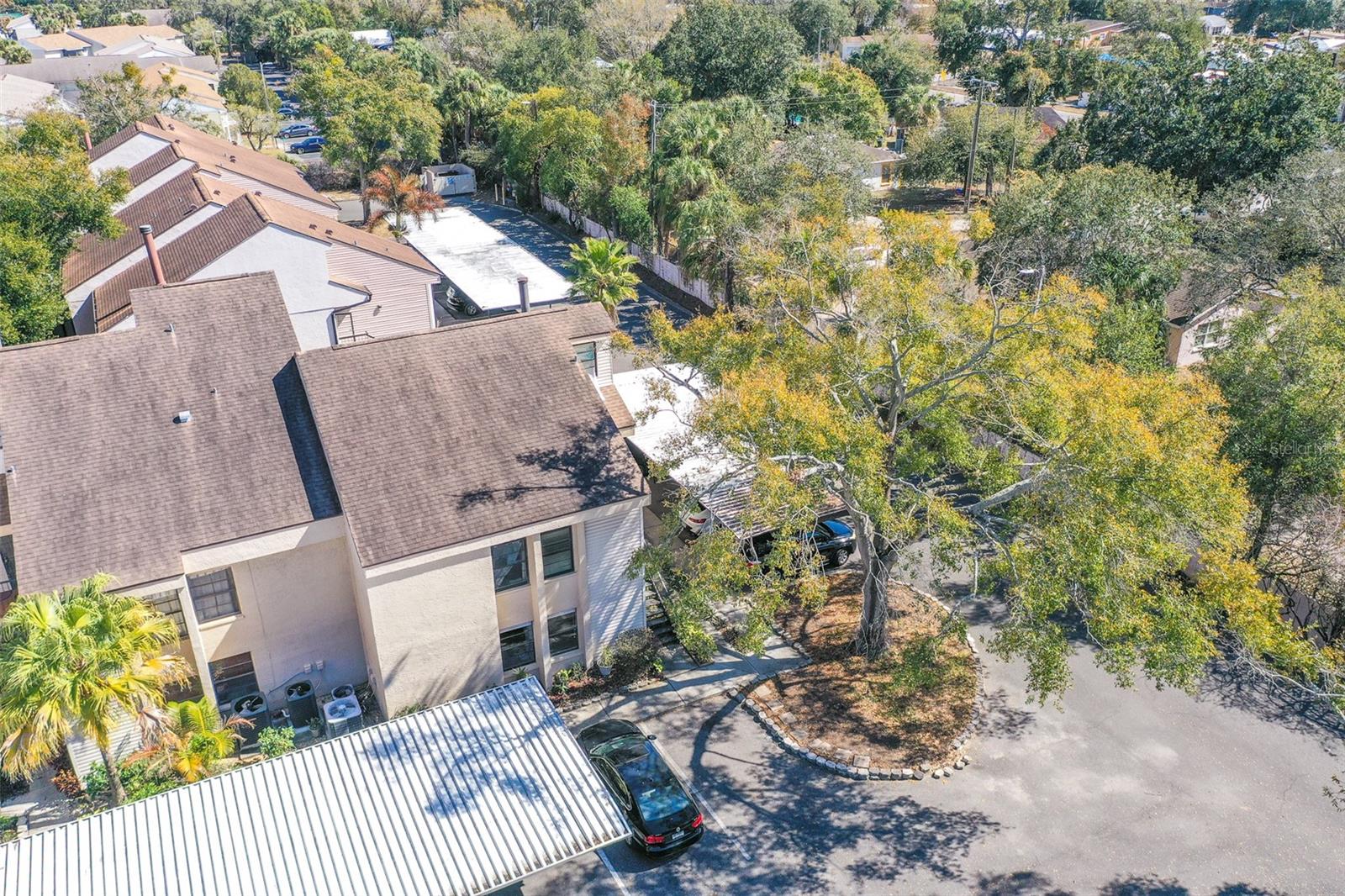 4837 PURITAN CIR ##2505