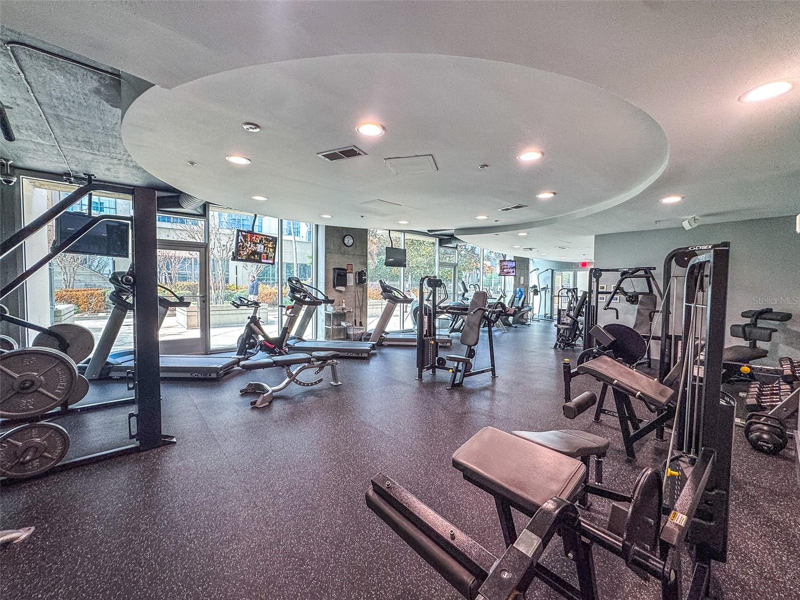 155 S COURT AVE #2503