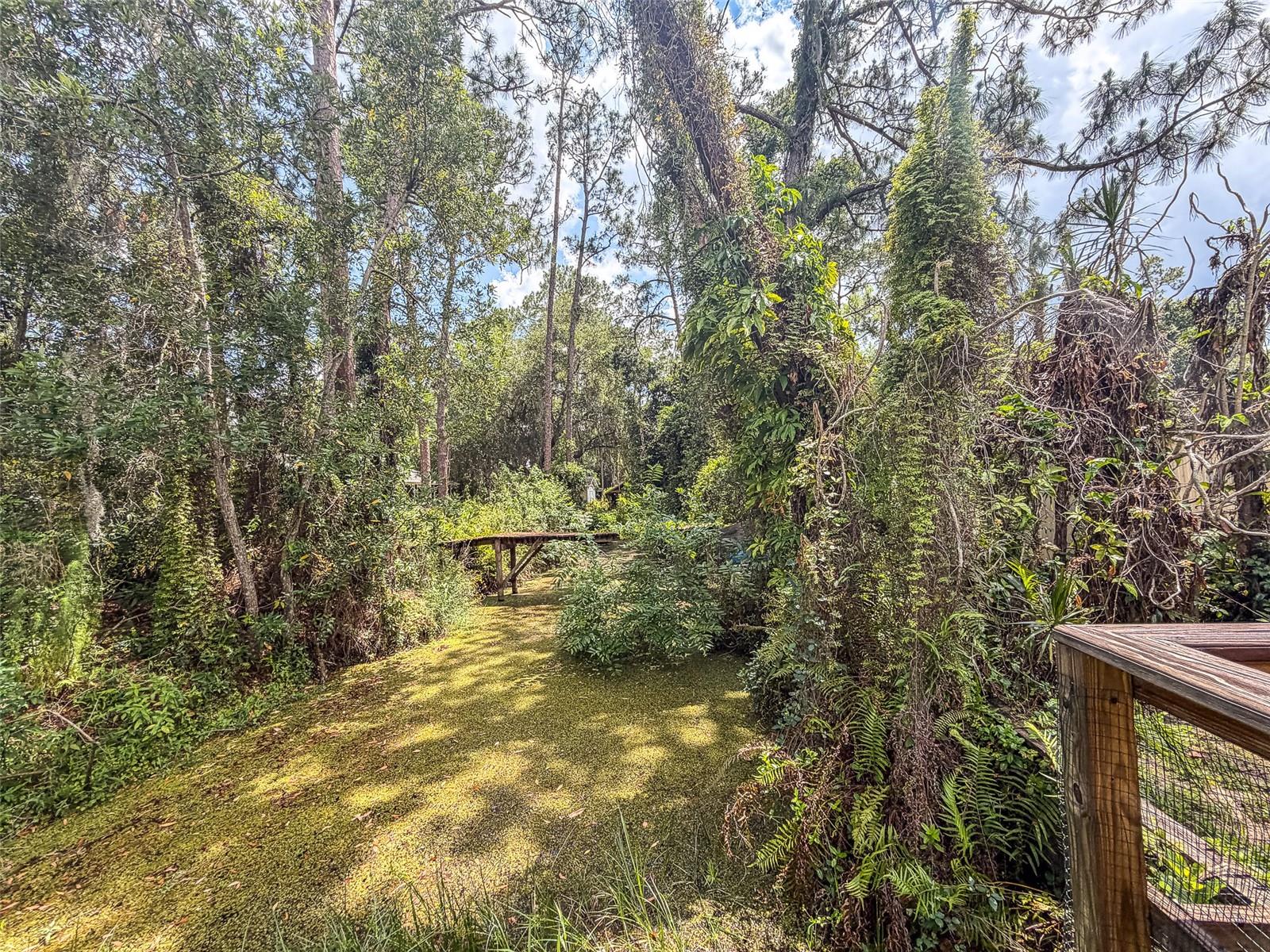 305 CLOVERLEAF RD