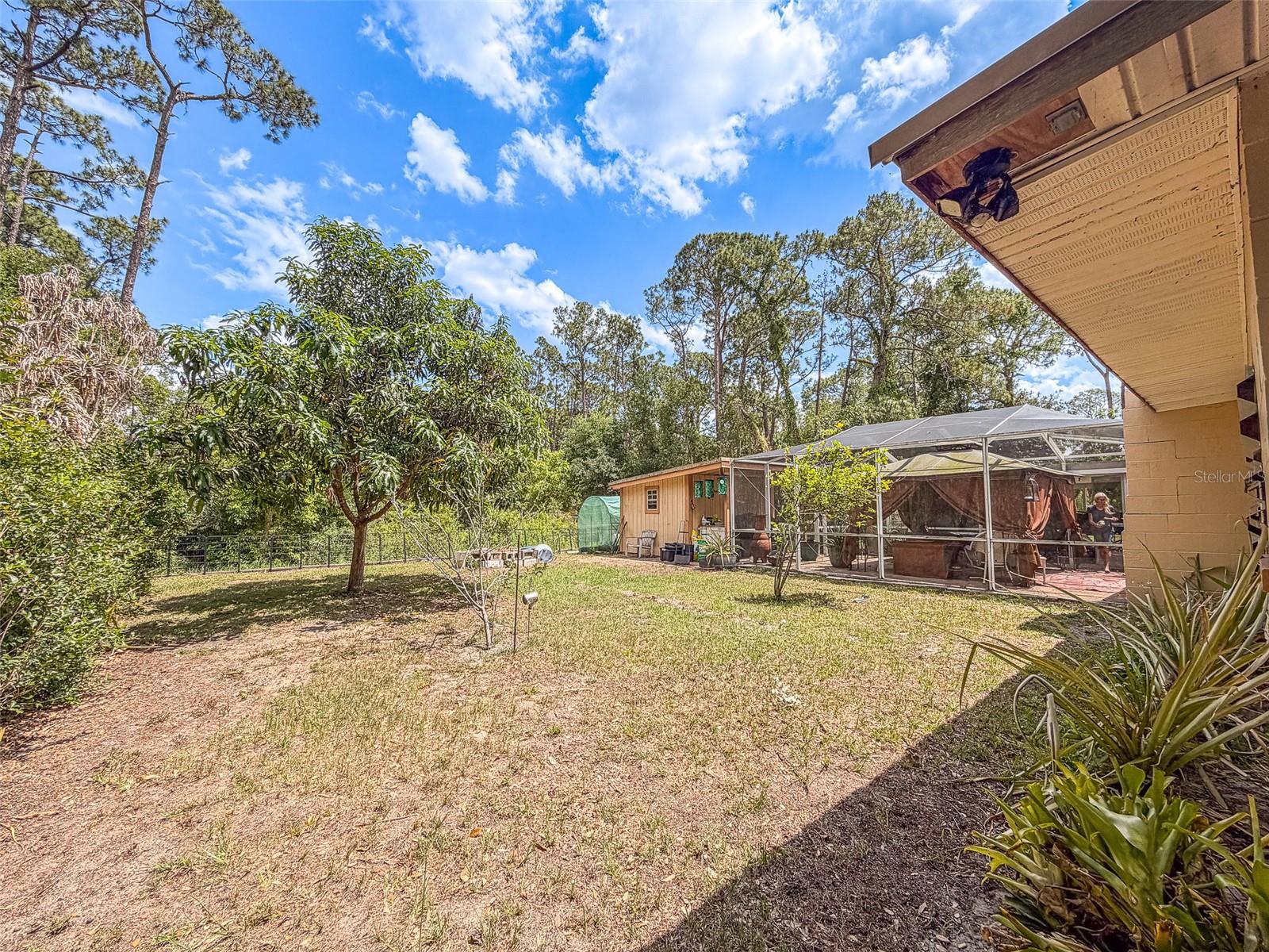 305 CLOVERLEAF RD