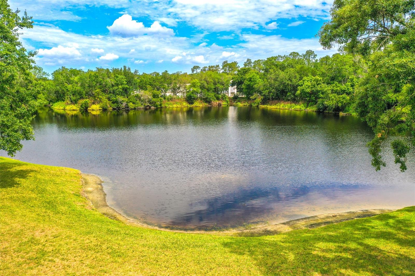 2539 CENTENNIAL FALCON DR