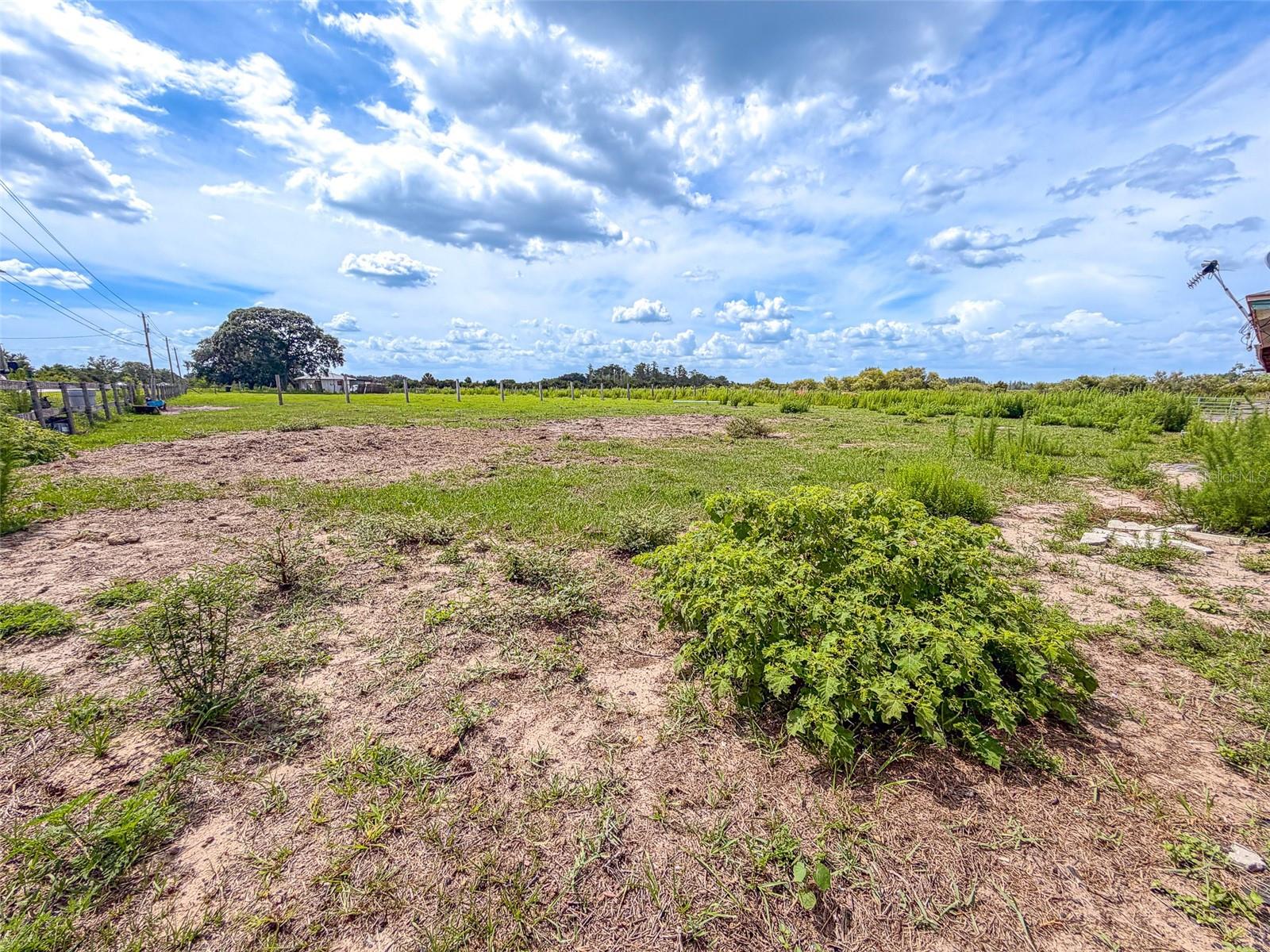 4706 COUNTY ROAD 557A