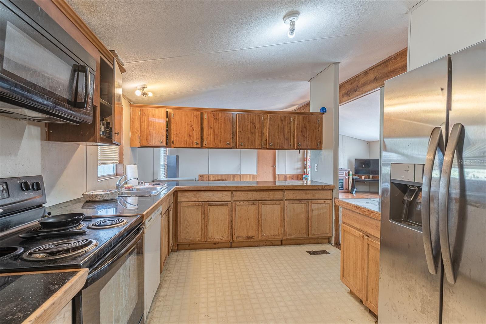 13 CACTUS CIR E