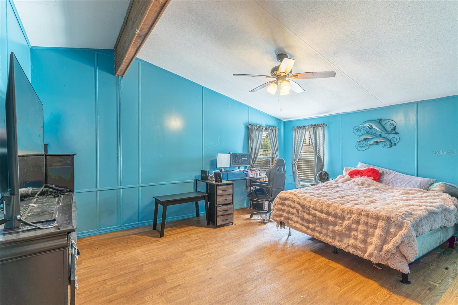 13 CACTUS CIR E