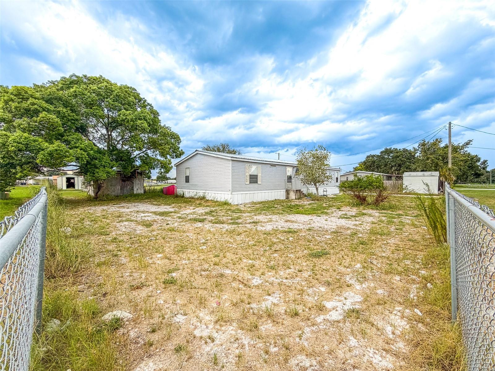13 CACTUS CIR E