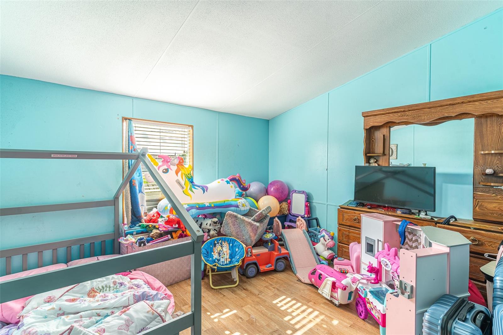 13 CACTUS CIR E