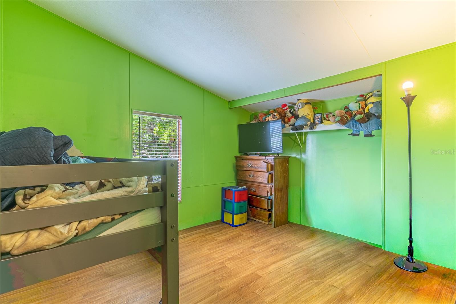 13 CACTUS CIR E