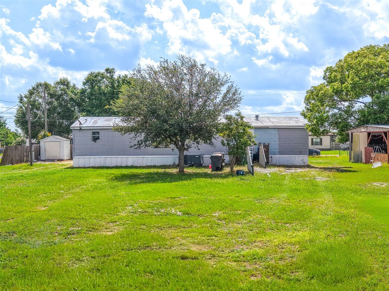 13 CACTUS CIR E