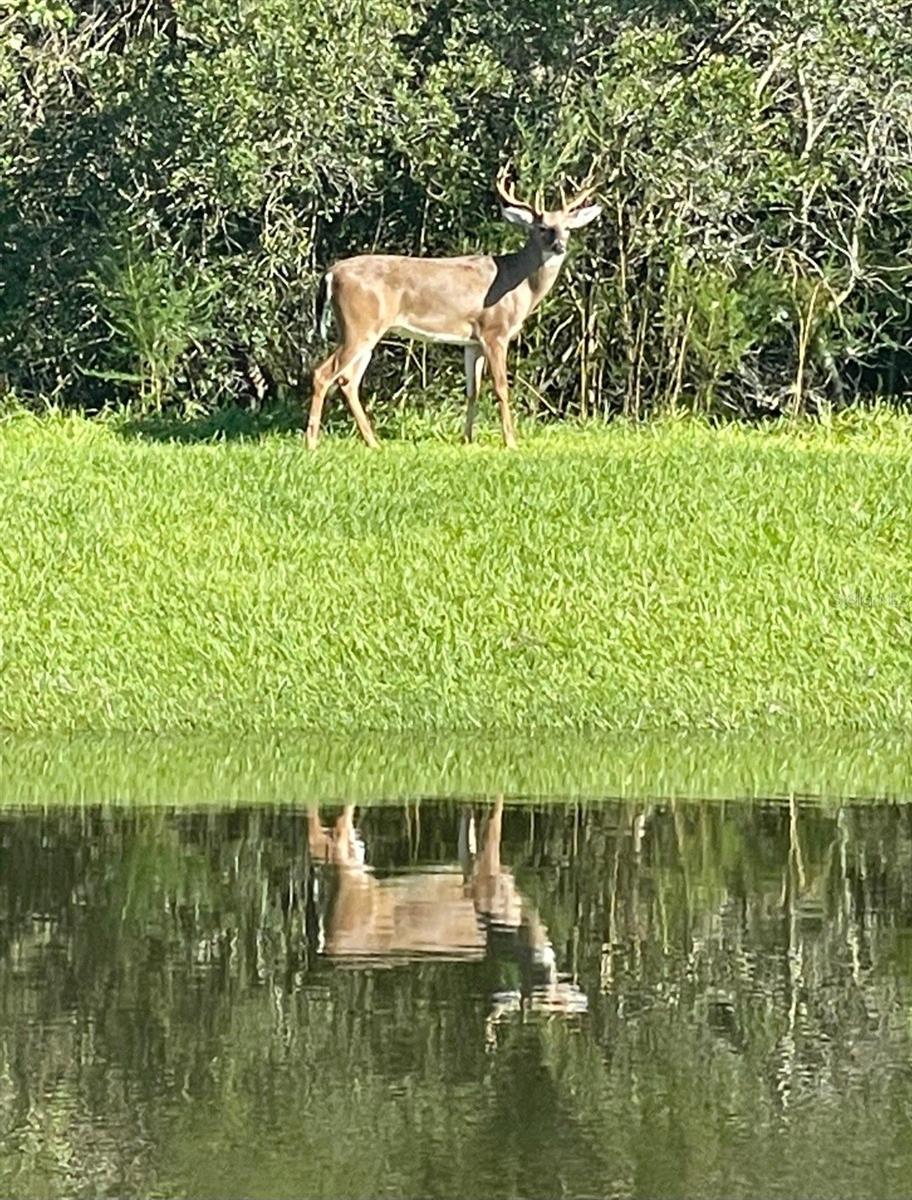 14300 ABINGTON HEIGHTS DR