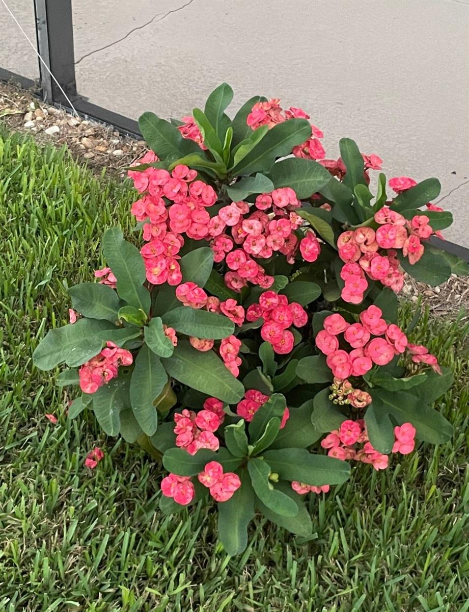 14300 ABINGTON HEIGHTS DR