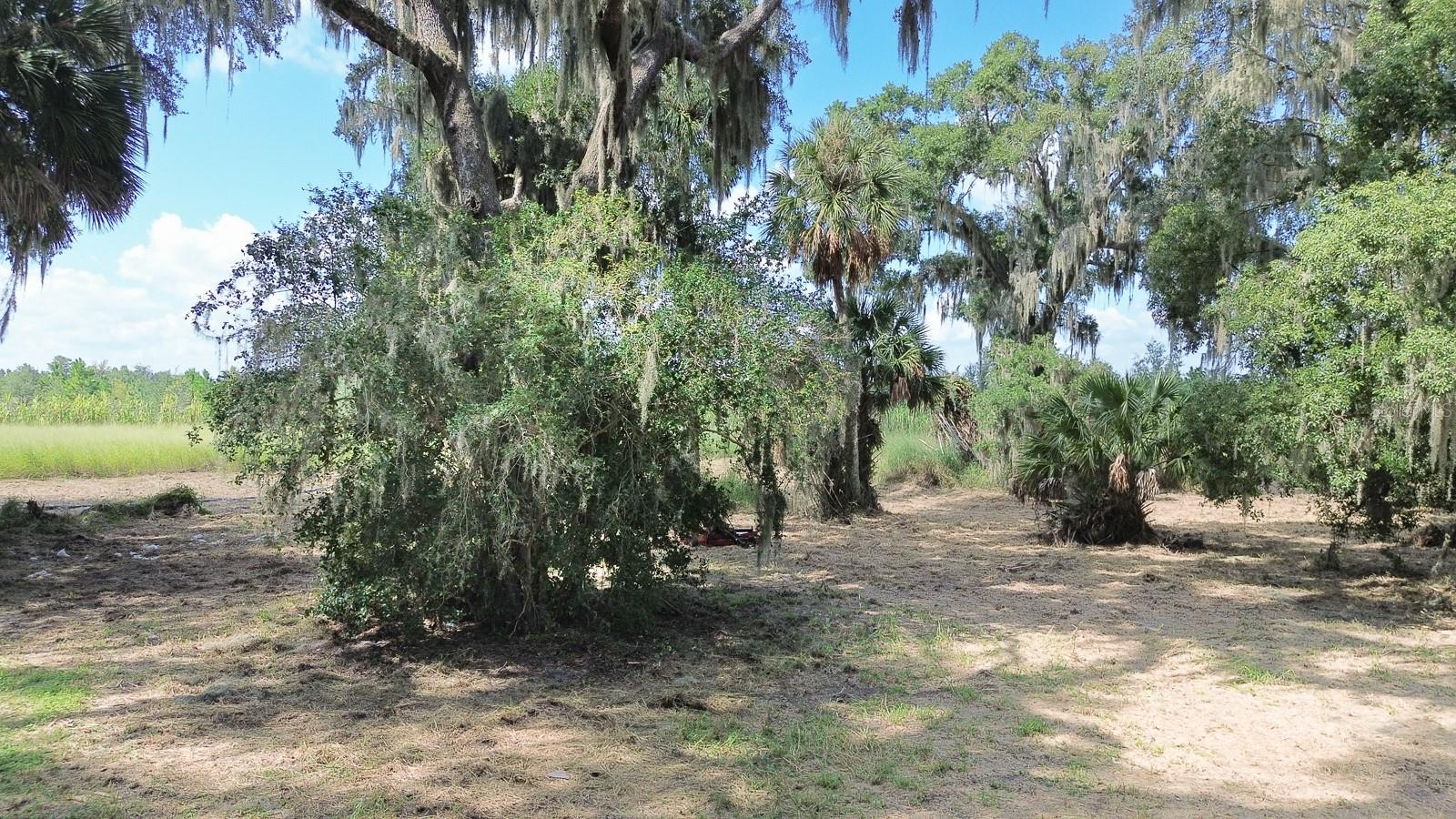 4770 MOUNT PISGAH RD