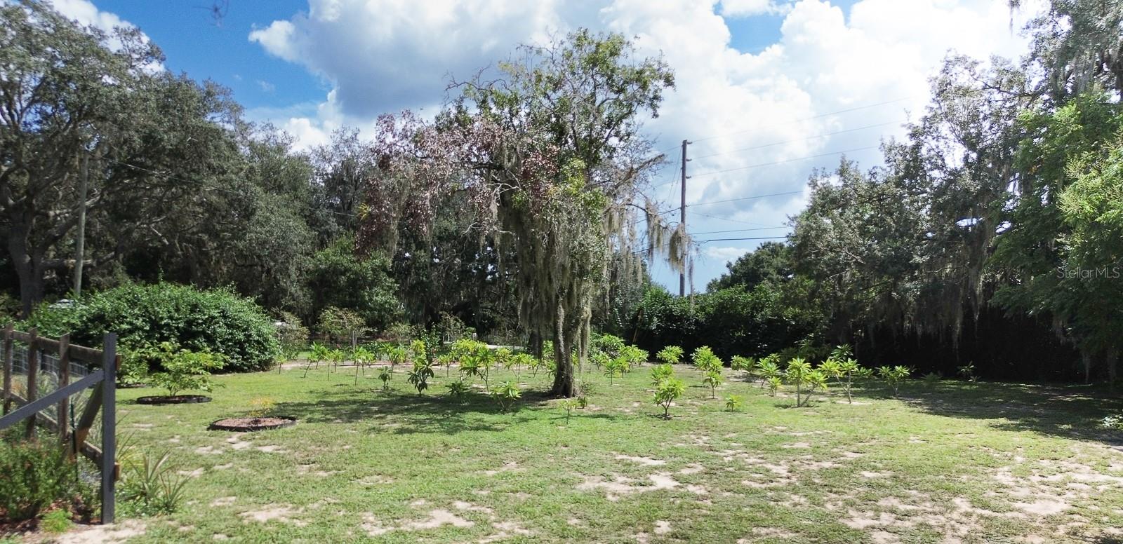 6827 COUNTY ROAD 17 S