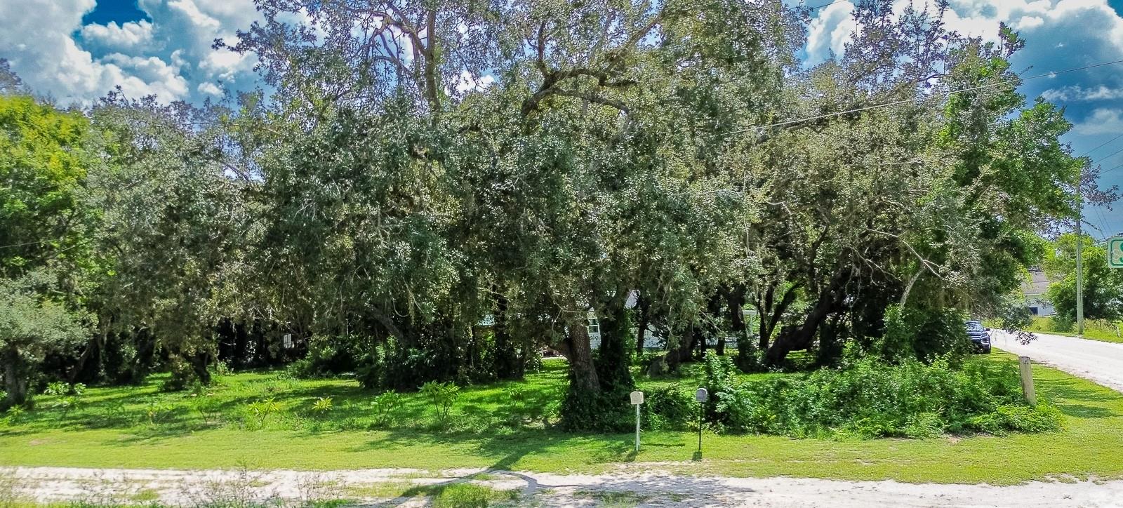 6827 COUNTY ROAD 17 S