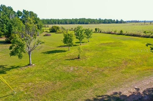 10217 OLD SPANISH TRL