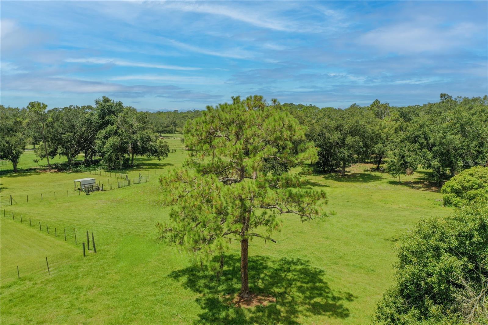 2335 OLD POLK CITY RD