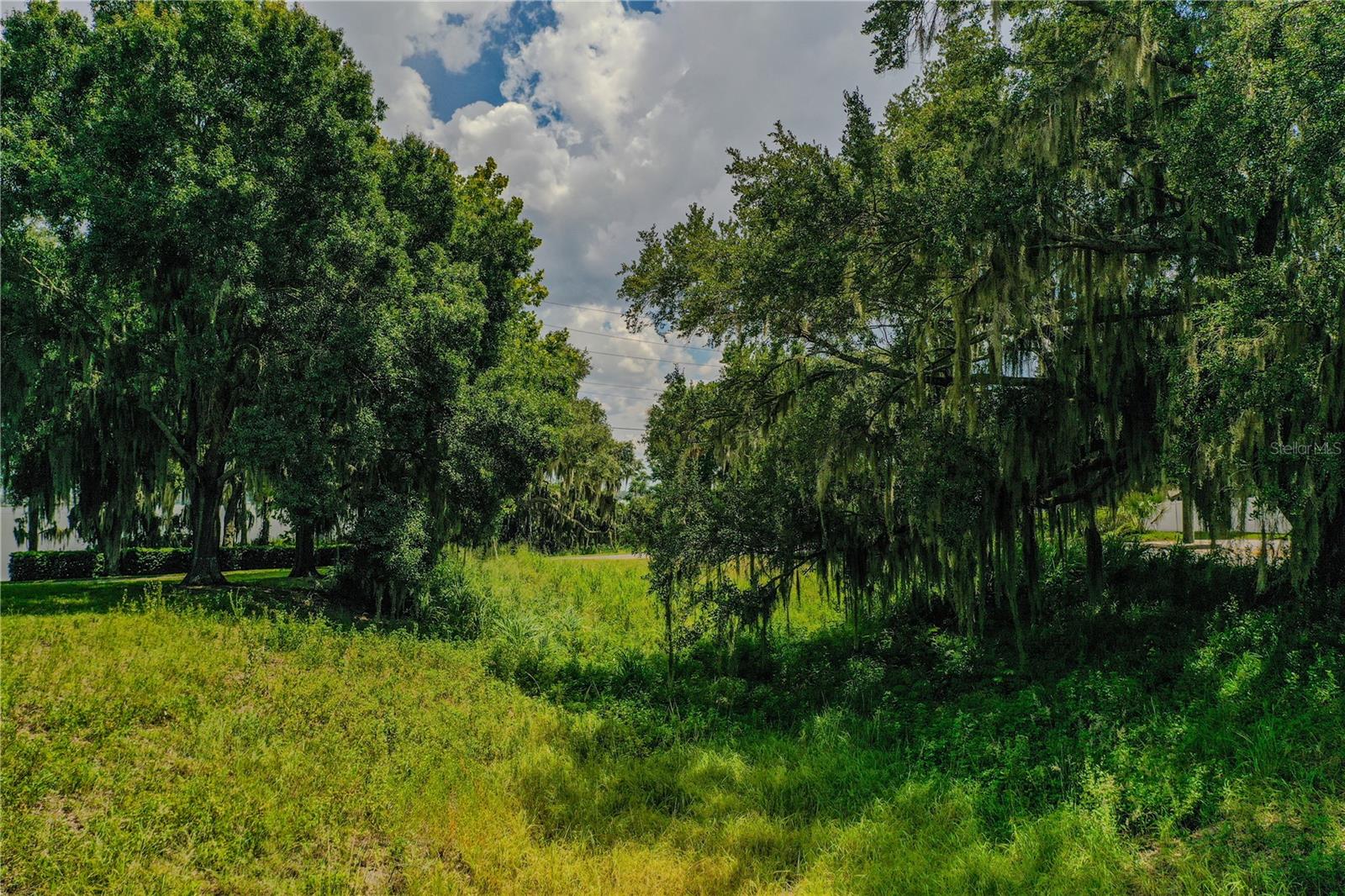 2006 LAKE ARIANA BLVD