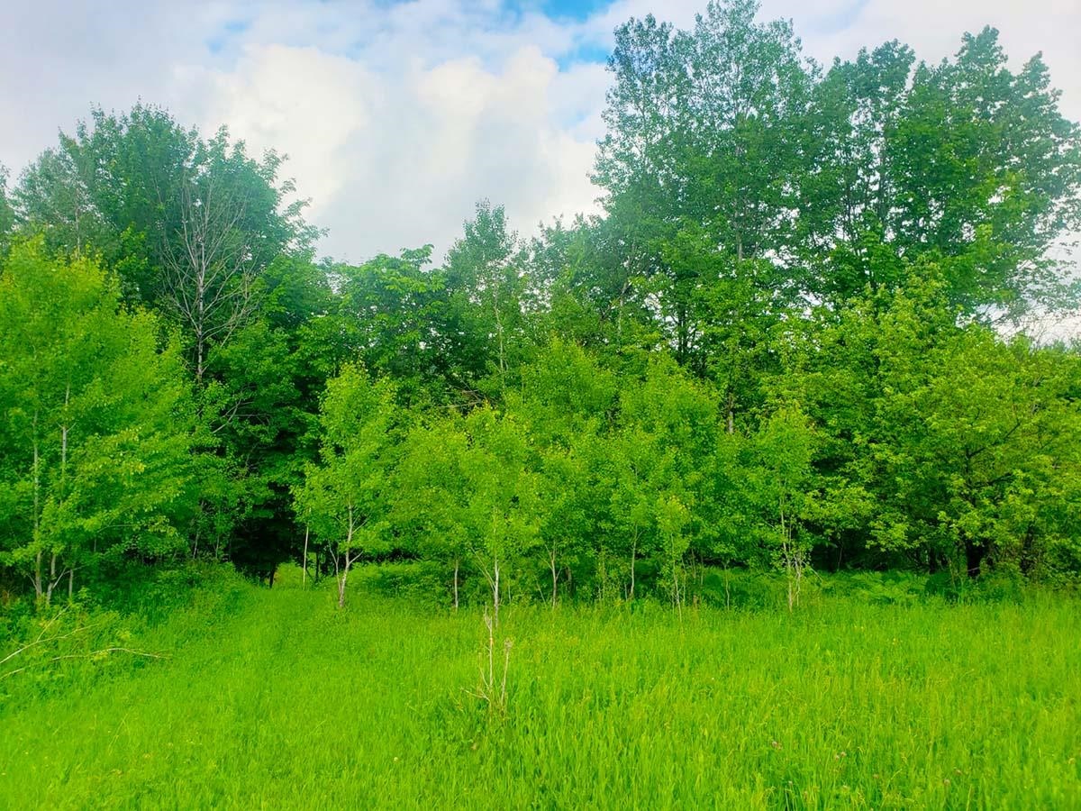 Lot 3 Scott Road Unit: 3