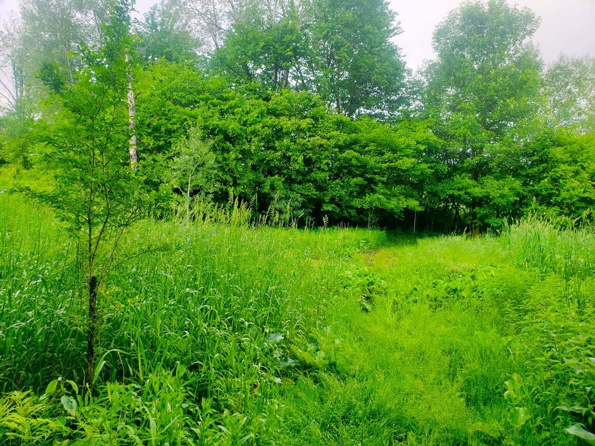 Lot 3 Scott Road Unit: 3