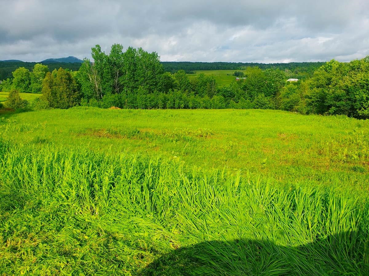 Lot 3 Scott Road Unit: 3