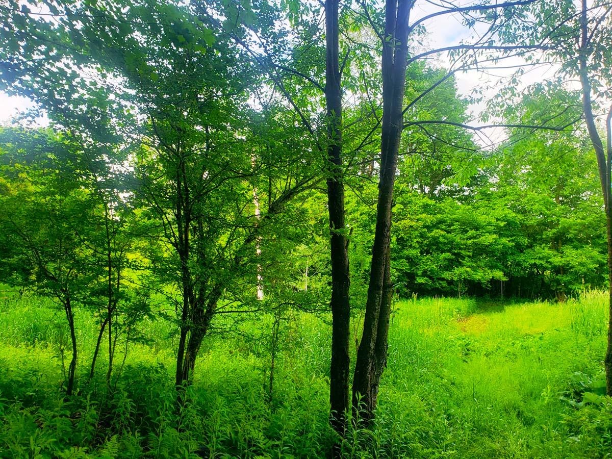 Lot 3 Scott Road Unit: 3