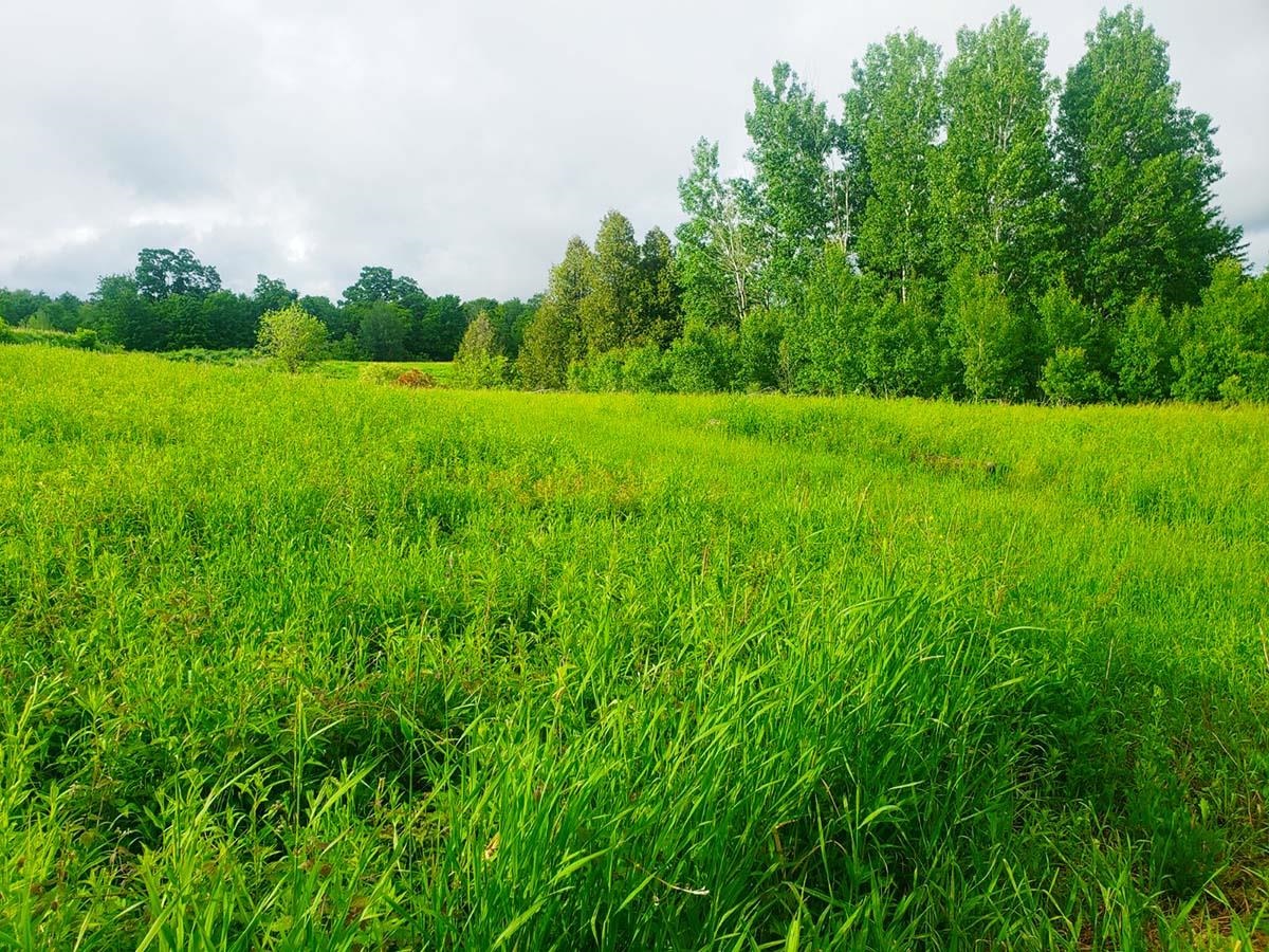 Lot 3 Scott Road Unit: 3