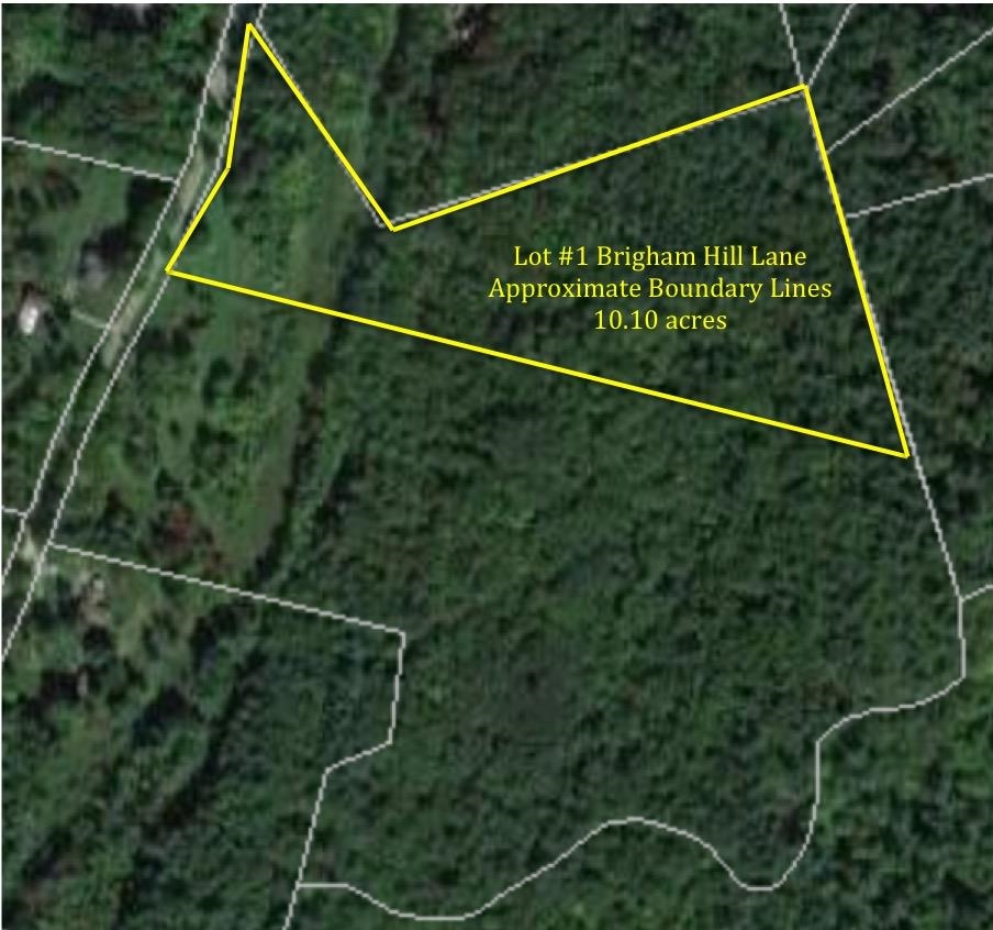 38 Brigham Hill Lane Unit: Lot #1