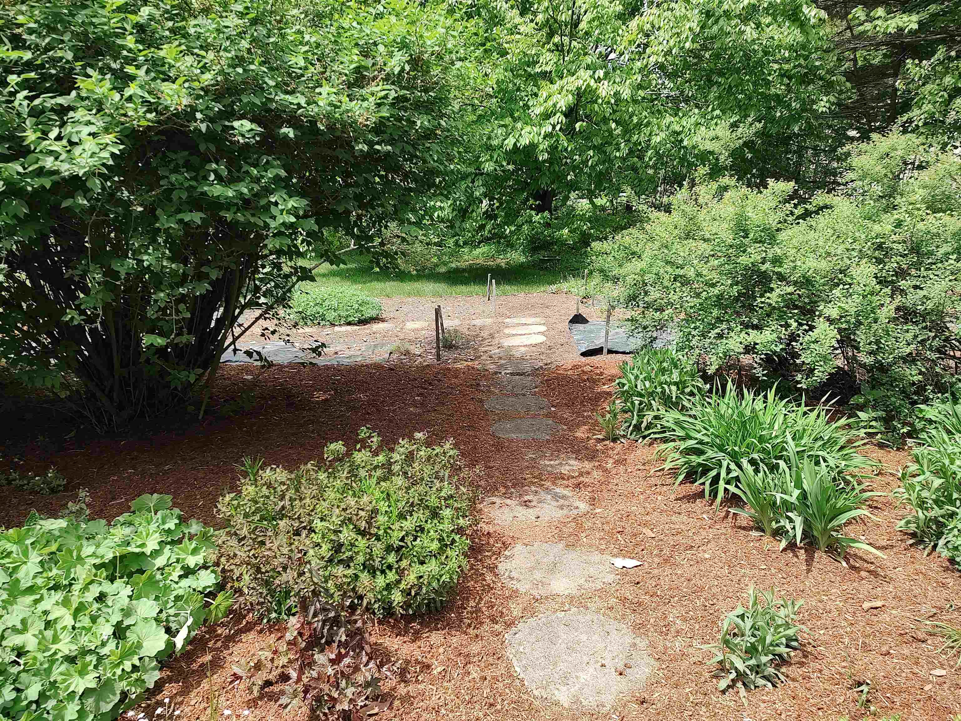 20 Allen Drive
