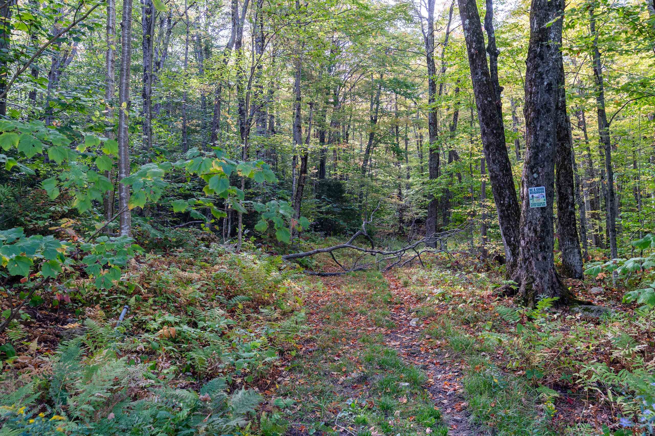 768 East Mountain Road Unit: C-1