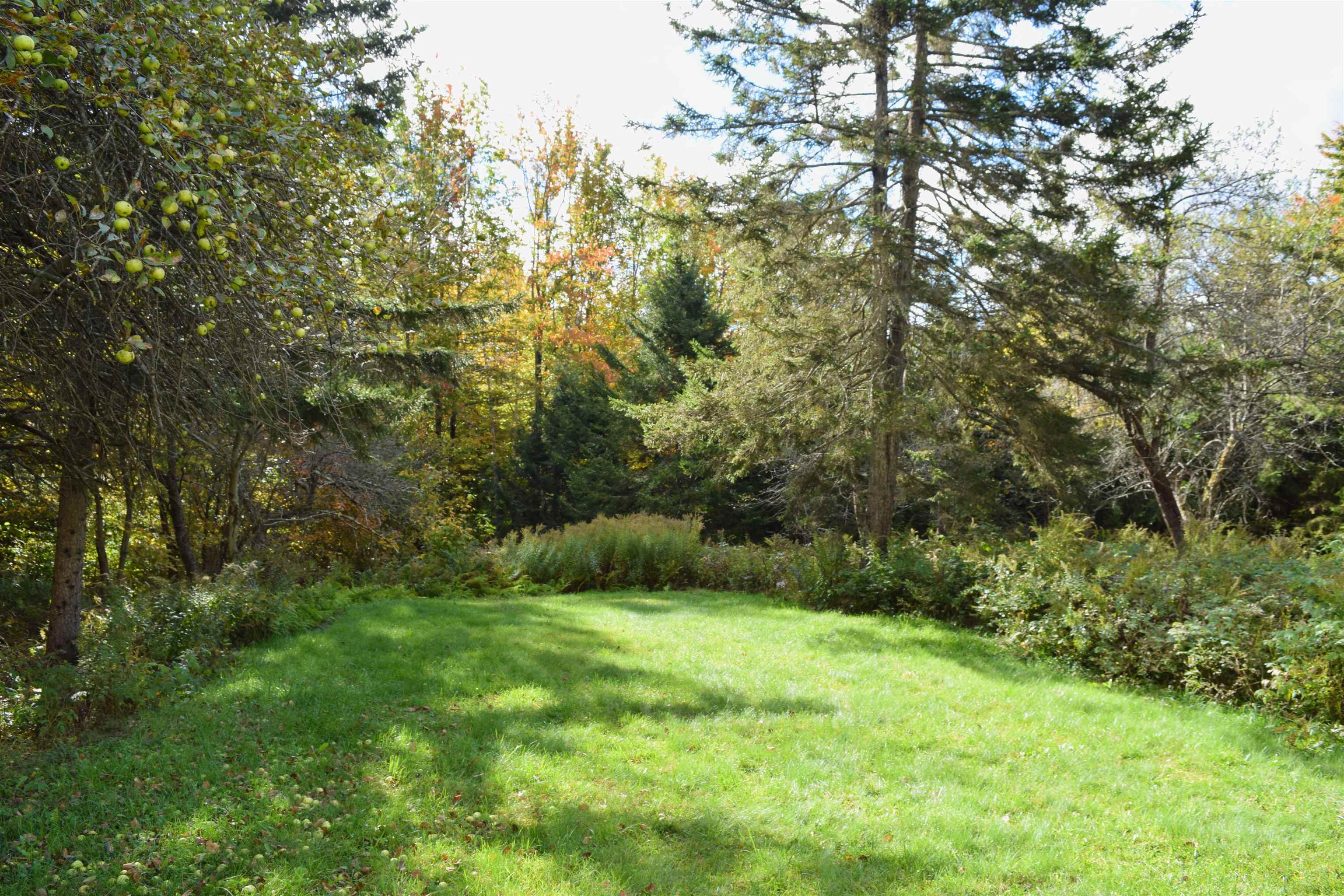 806 Robert Young Road