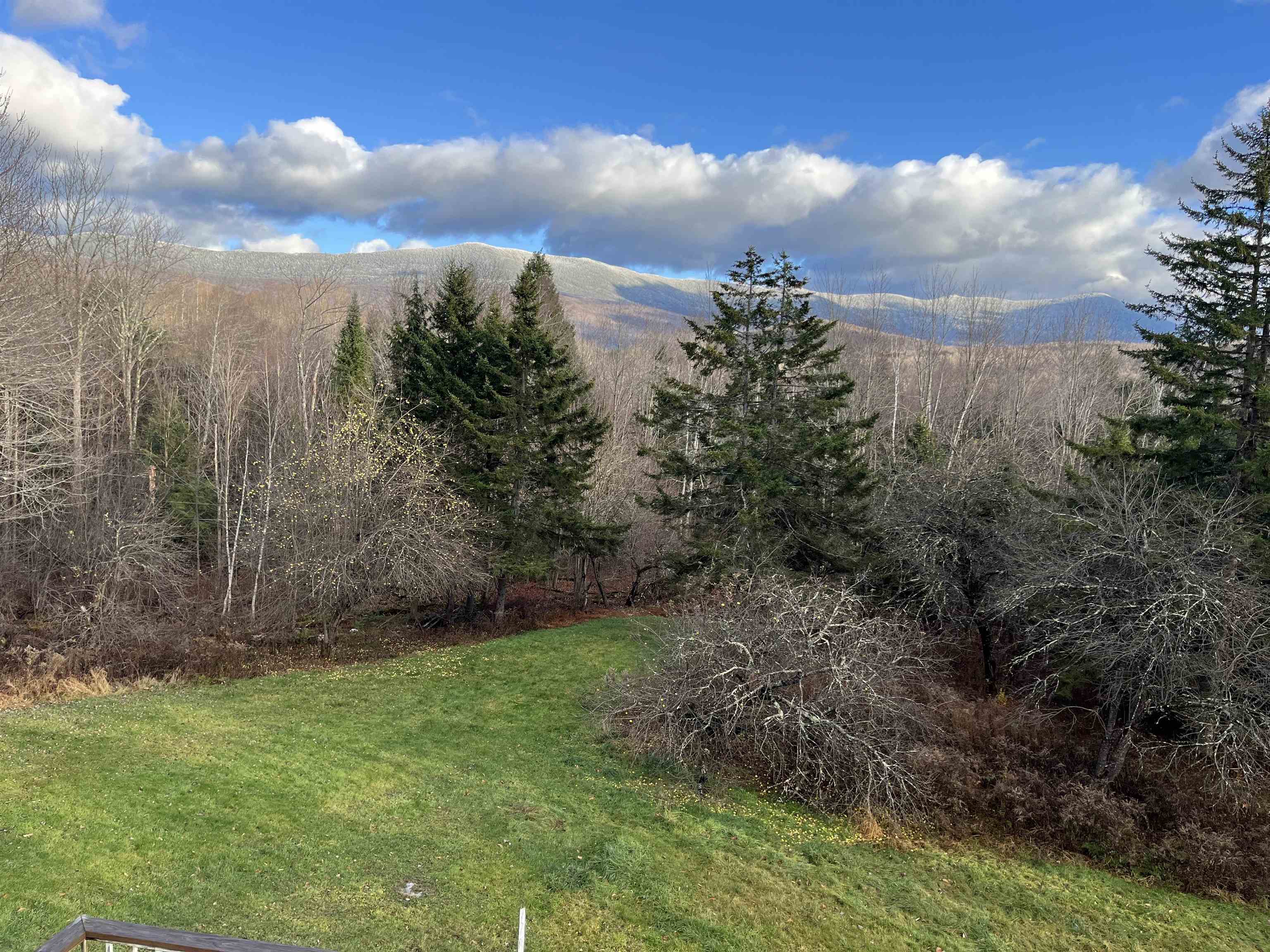 806 Robert Young Road